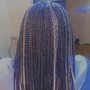 Regular Box Braids