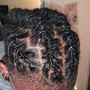 Comb Twist/ Starter Locs