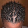 Comb Twist/ Starter Locs