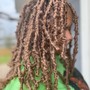 Jah Locs (human hair)