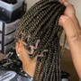 Poetic Justice Braids