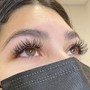 6D Volume Eyelash Fill