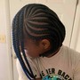 Small Box Braidz (up to mid back length)