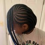 Passion/ Senegalese Twistz (up to Butt length)