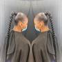 Small Braids into a ponytail