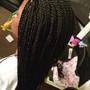 Small Senegalese Twist