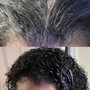 Root Touch Up  (Semi permanent)