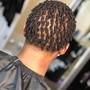 Extended Natural Twist