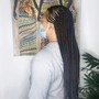 Jumbo Knotless Braids