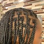 Soft Locs/ Boho/ Butterfly/Distressed Locs