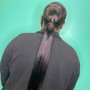 Sleek Ponytail