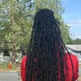 Loc Maintenance (wash and retwist only)