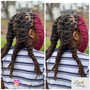 Adult starter Locs on at neck to shoulder length