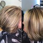 Color with Highlights