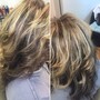 Partial Highlights and All  Over Toner