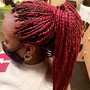 Passion Twists/Spring Twist