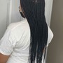 Havana Twists