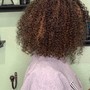 Natural Hair Partial Color