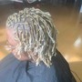 Starter Dreadlocks