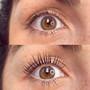 Eyelash Tint