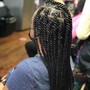 Jumbo Senegalese twist midback