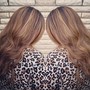 Partial Highlights