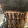 Loc Coils