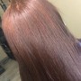 Root Touch Up