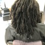 Root Touch Up