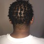 starter Locs