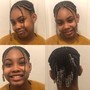 Feed in Braided Ponytail