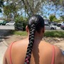 Single Braid Ponytail