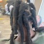 Dreadlocks