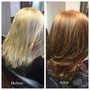 Partial Highlights