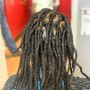 Senegalese Twist - W/O hair added