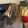 Starter locs