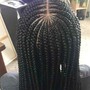 Mini Twists/Mini Braids