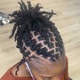 STARTER LOCS (SIDES and back shaved only)