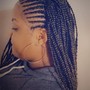 Box Braids(half head)