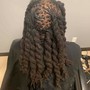 Shampoo and Style, Loc Re-twist