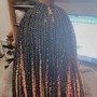 Passion /Spring /Kinky Twist- Large