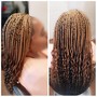 Medium Senegalese Twist