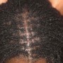 Natural 2 Strand Twists