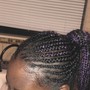 Kid's Braids Half Up/ Half Down