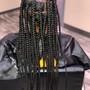 Short Jungle Box Braids