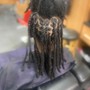 Root Touch Up