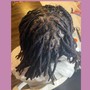 *CASH ONLY* BOHO/Lisa Bonet Permanent Loc Extensions