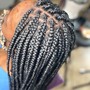 Mini Box Braids