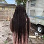 Senegalese Twist / jumbo