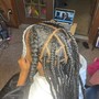 Braided Bob